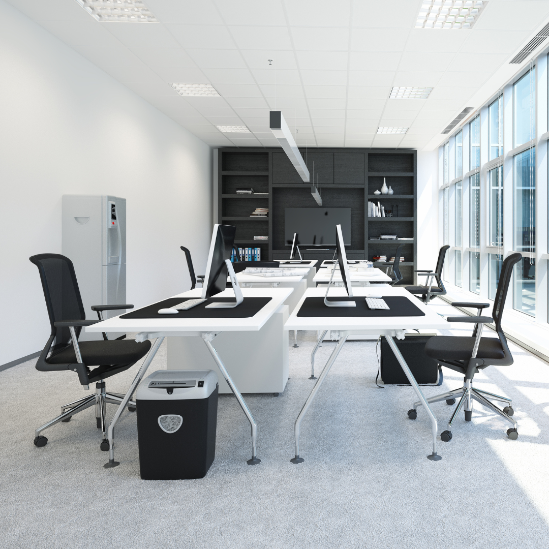 Traitement professionnel rats Mandelieu-la-Napoule - CS Service