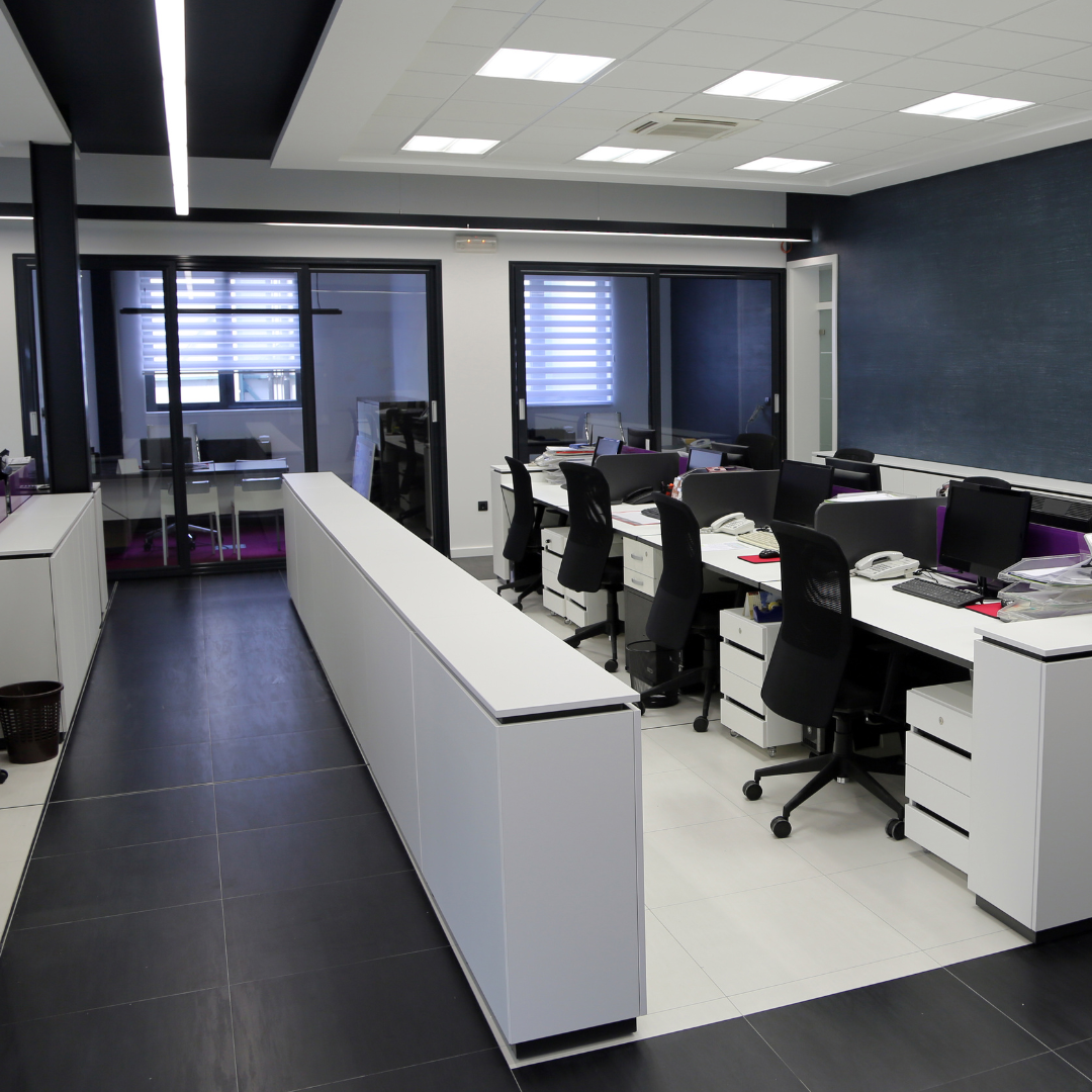 Deratisation locaux professionnels Mandelieu-la-Napoule - CS Service