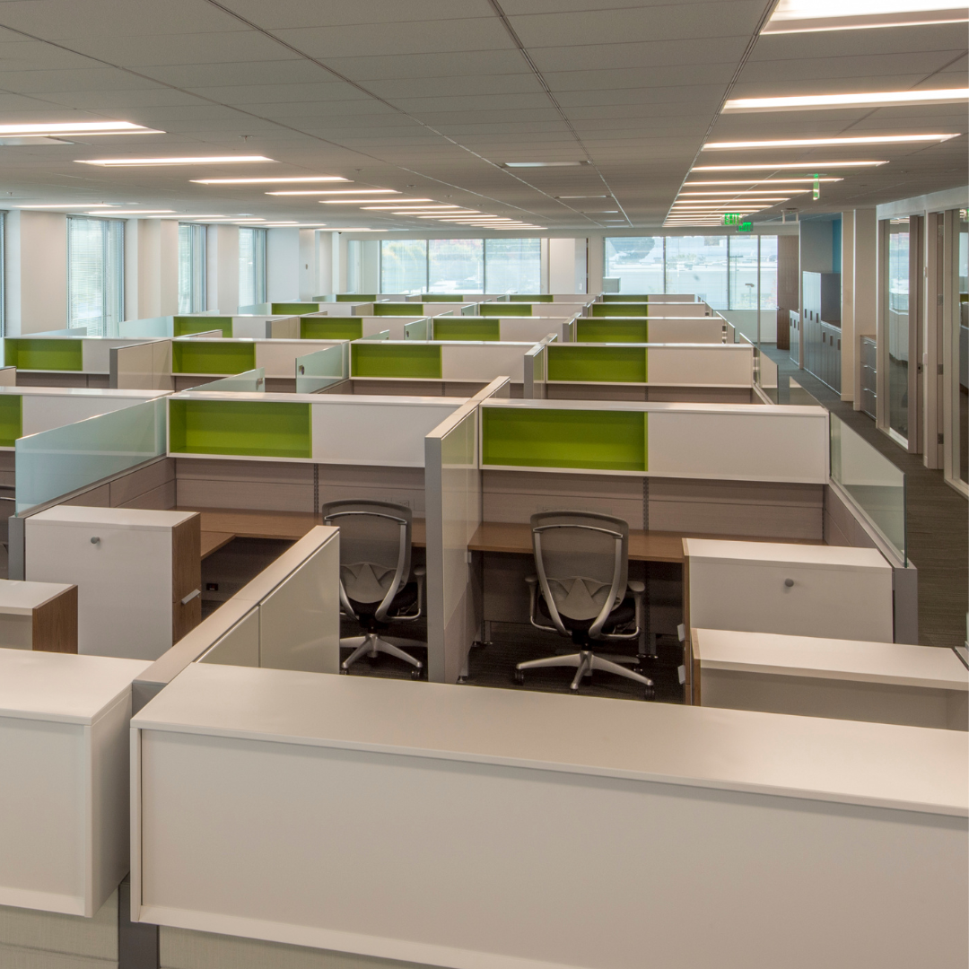 Deratisation locaux professionnels Mandelieu-la-Napoule - CS Service