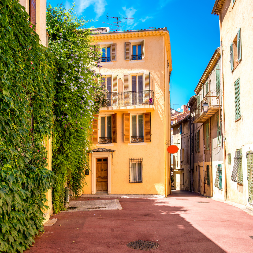 Maintenance préventive dératisation Le Cannet - CS Service