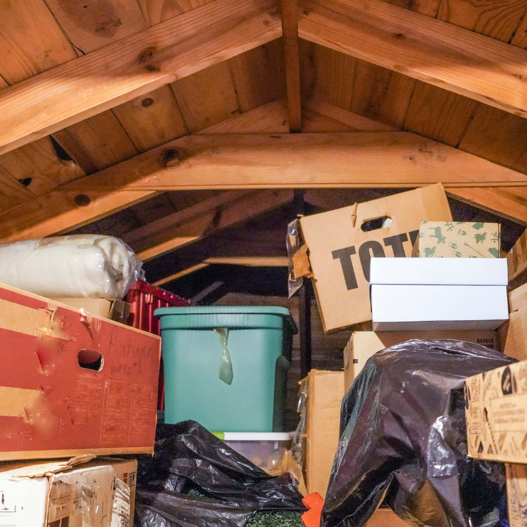 Service de dératisation écologique Mandelieu-la-Napoule - CS Service