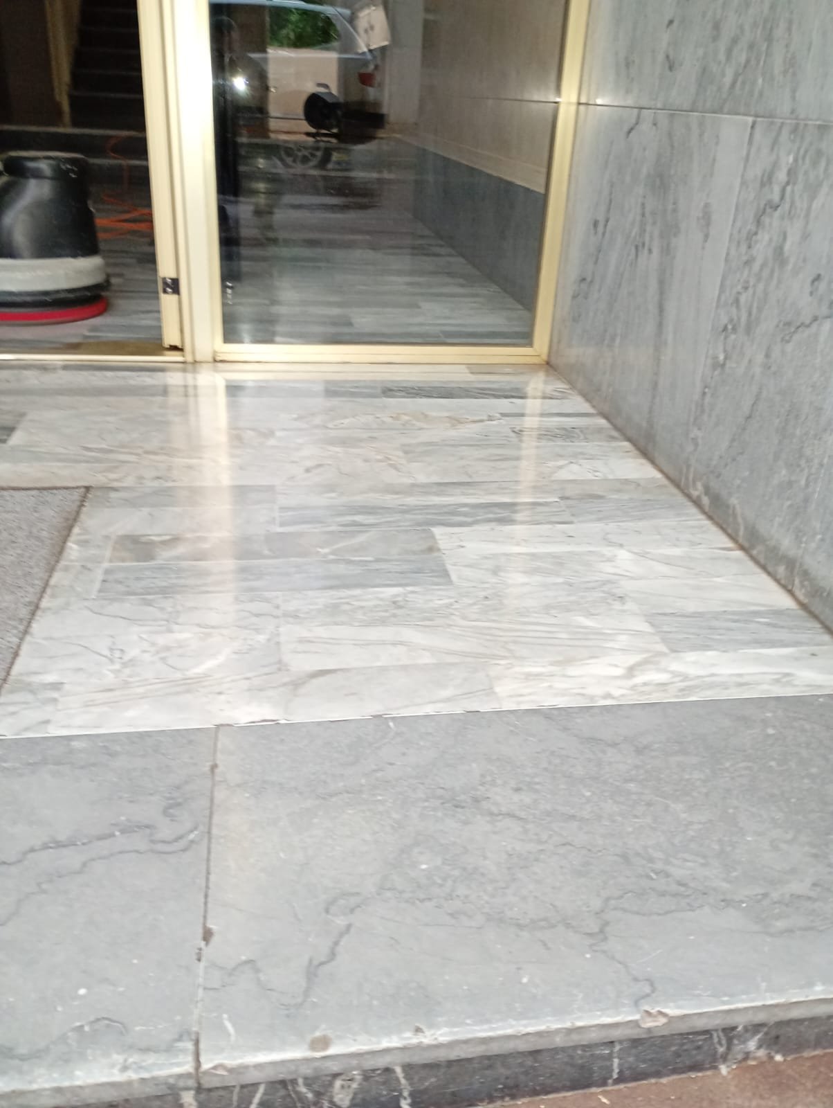 Intervention dératisation urgente Cannes - CS Service