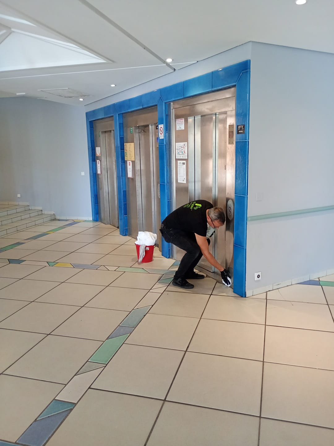 Société de lutte anti-insectes Mandelieu-la-Napoule - CS Service